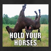 Hold Your Horses Funny Meme Adult Drive Performance Visor