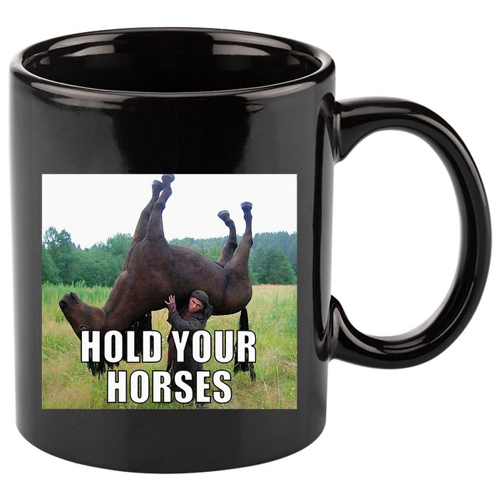 Hold Your Horses Funny Meme 11oz C Handle Ceramic Mug
