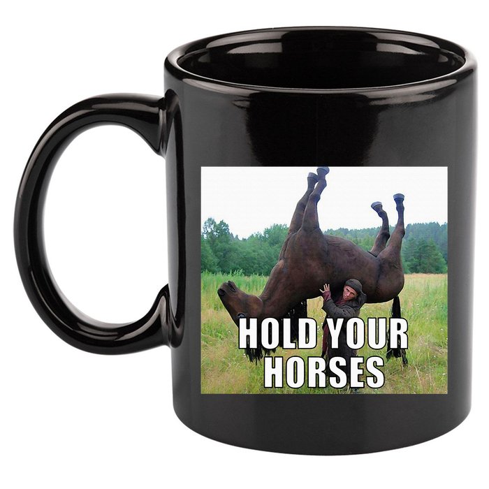 Hold Your Horses Funny Meme 11oz C Handle Ceramic Mug