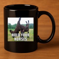 Hold Your Horses Funny Meme 11oz C Handle Ceramic Mug