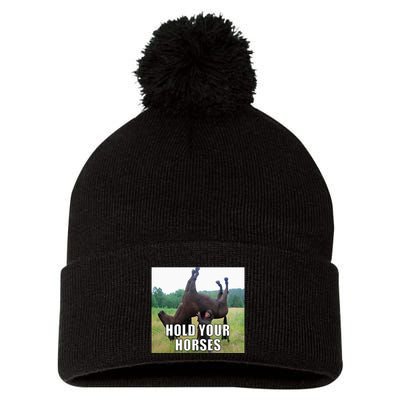 Hold Your Horses Funny Meme Pom Pom 12in Knit Beanie