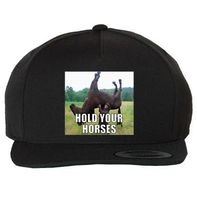 Hold Your Horses Funny Meme Wool Snapback Cap