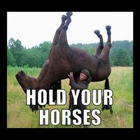 Hold Your Horses Funny Meme Zip Tote Bag