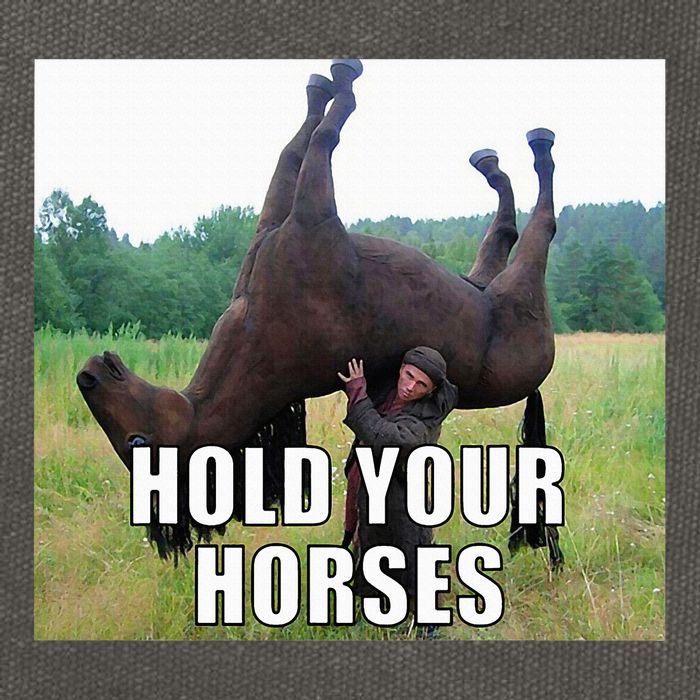 Hold Your Horses Funny Meme Cotton Canvas Backpack