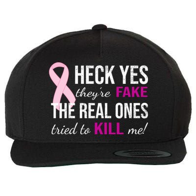 Heck Yes They're Fake The Real Ones Tried To Scare Me! Wool Snapback Cap