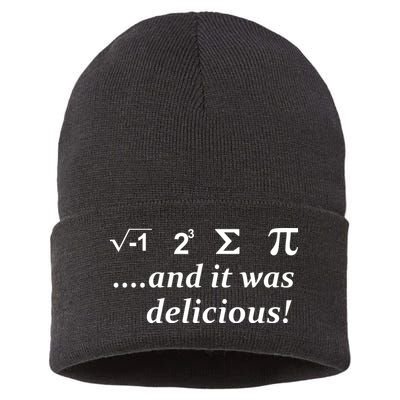 I 8 Sum Pi And It was Delicious! Sustainable Knit Beanie