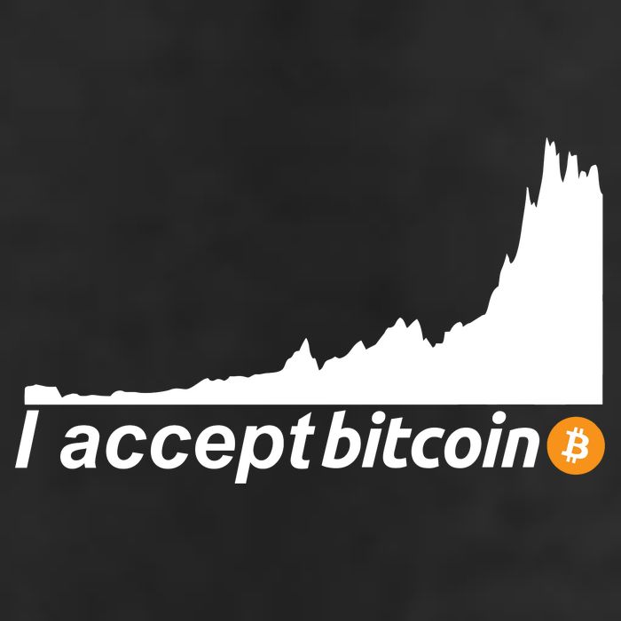 I Accept Bitcoin Crypto Currency 12oz Stainless Steel Coffee Mug