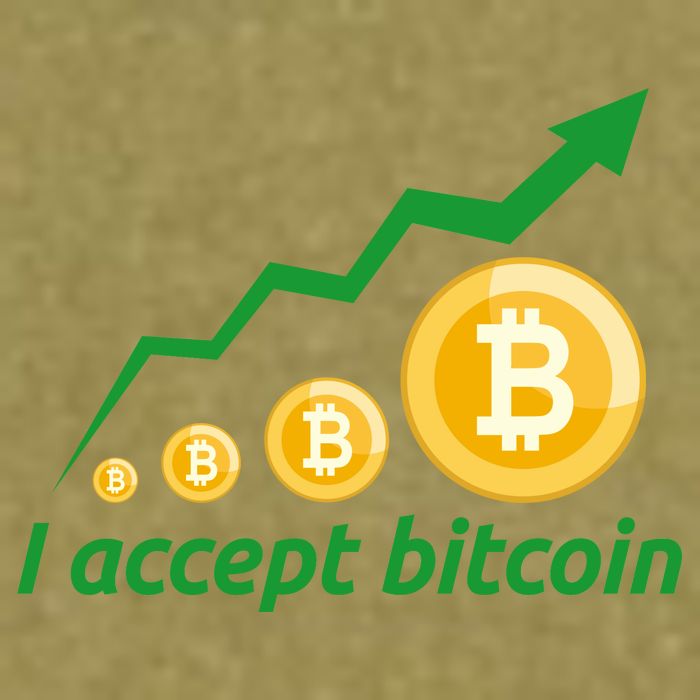 I Accept Bitcoin Graph Logo Garment-Dyed Women's Muscle Tee