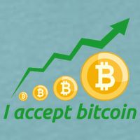 I Accept Bitcoin Graph Logo Sueded Cloud Jersey T-Shirt