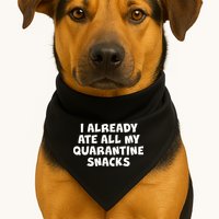 I Already Ate All My Quarantine Snacks USA-Made Doggie Bandana