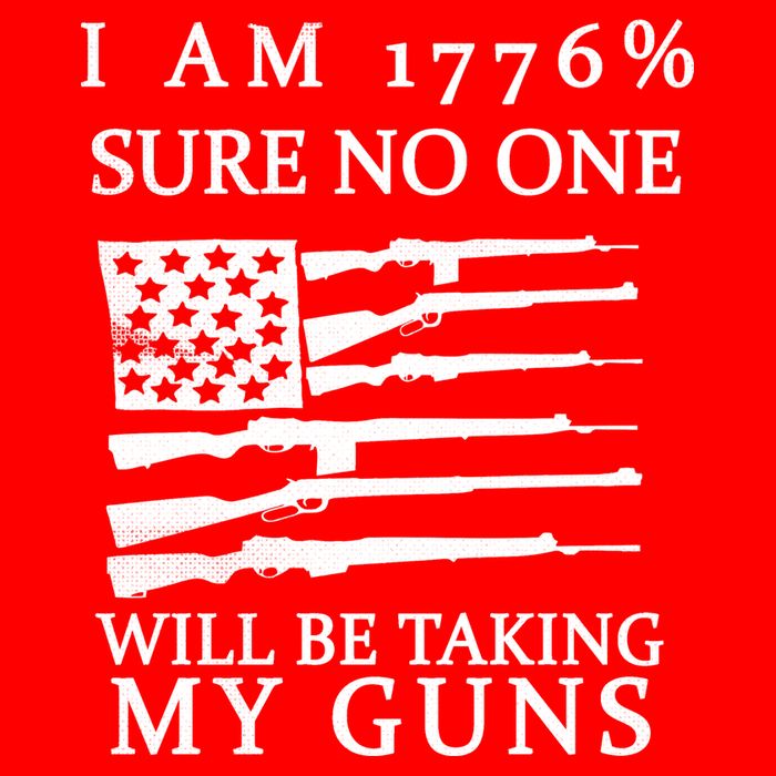 I Am 1776 Sure No One Is Taking My Guns 16 in Basic Backpack