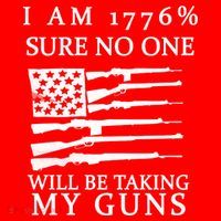 I Am 1776 Sure No One Is Taking My Guns Womens T-Shirt
