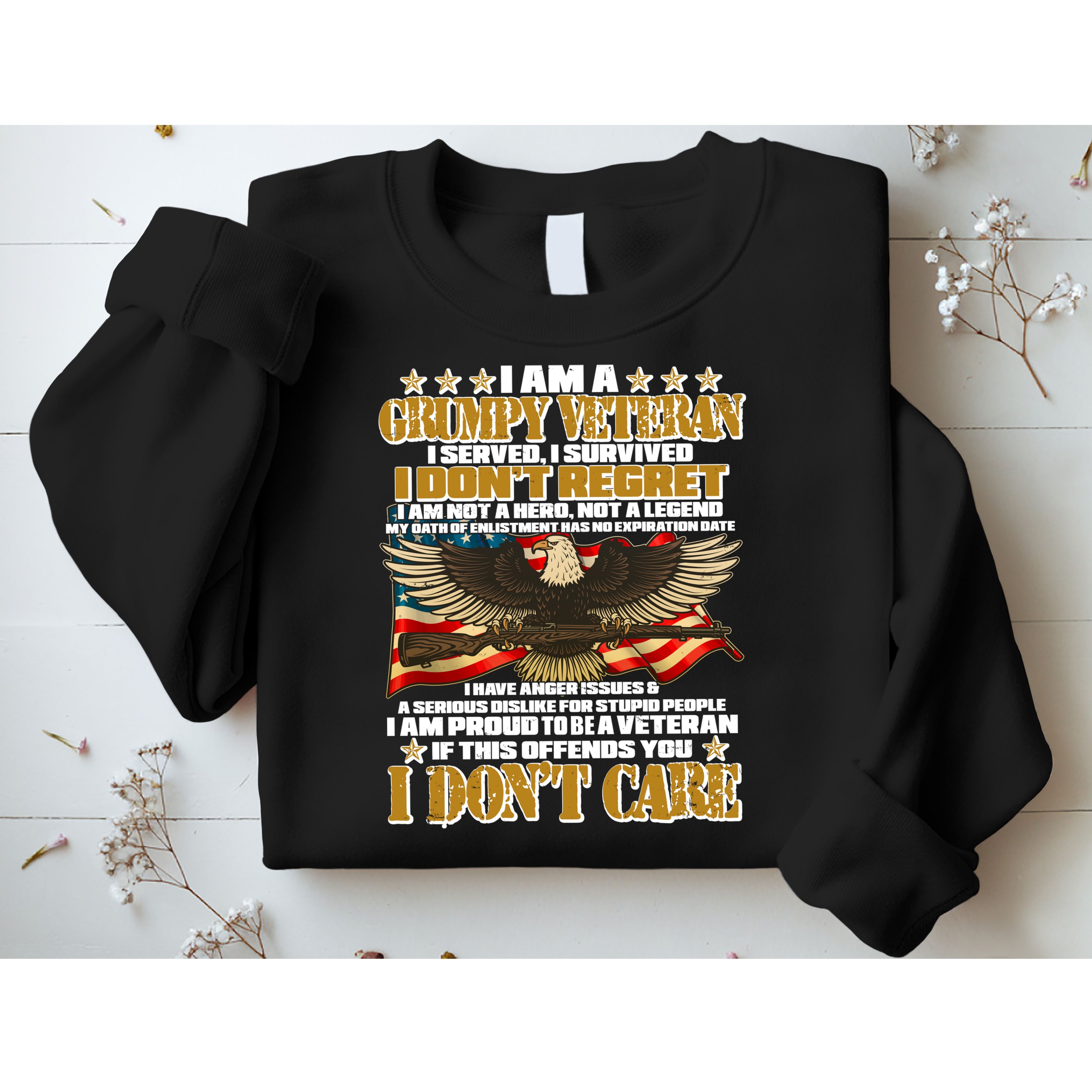 I Am A Grumpy Proud Veteran Funny Sweatshirt