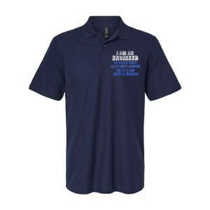 I Am An Engineer Save Time Never Wrong Softstyle Adult Sport Polo