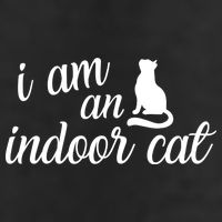 I Am An Indoor Cat Adult Drive Performance Visor