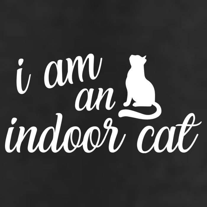 I Am An Indoor Cat Adult Drive Performance Visor