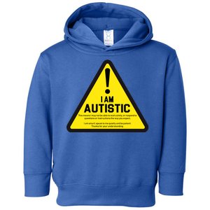 I Am Autistic Autism Warning Sign Toddler Hoodie