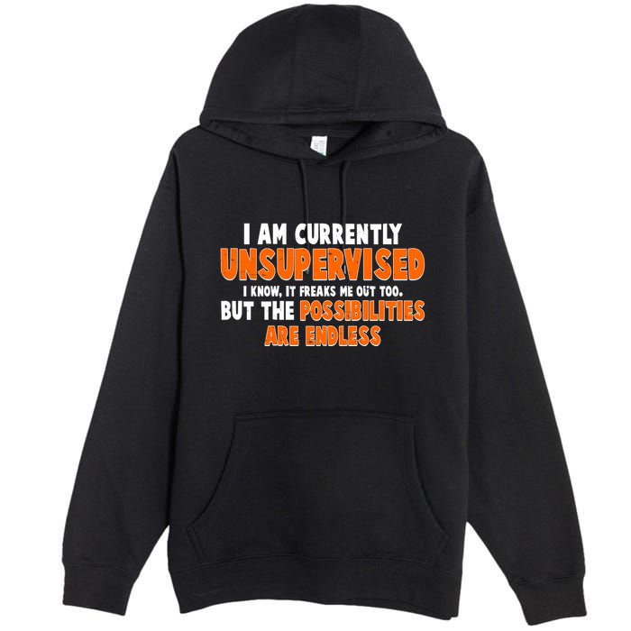 I Am Currently Unsupervised The Possibilities Are Endless Premium Pullover Hoodie