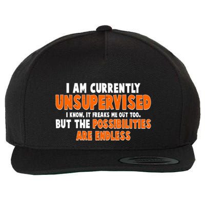 I Am Currently Unsupervised The Possibilities Are Endless Wool Snapback Cap
