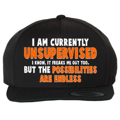 I Am Currently Unsupervised The Possibilities Are Endless Wool Snapback Cap