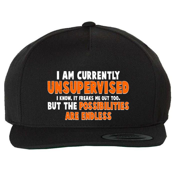 I Am Currently Unsupervised The Possibilities Are Endless Wool Snapback Cap