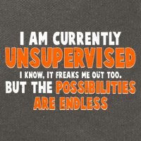I Am Currently Unsupervised The Possibilities Are Endless Cotton Canvas Backpack