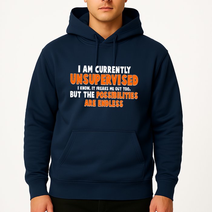 I Am Currently Unsupervised The Possibilities Are Endless Hoodie