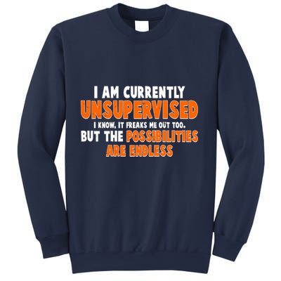 I Am Currently Unsupervised The Possibilities Are Endless Sweatshirt