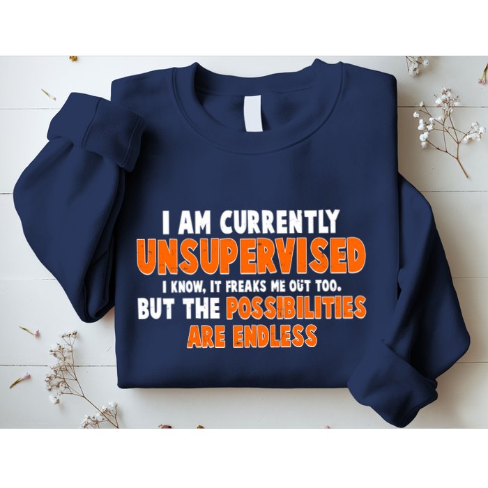 I Am Currently Unsupervised The Possibilities Are Endless Sweatshirt