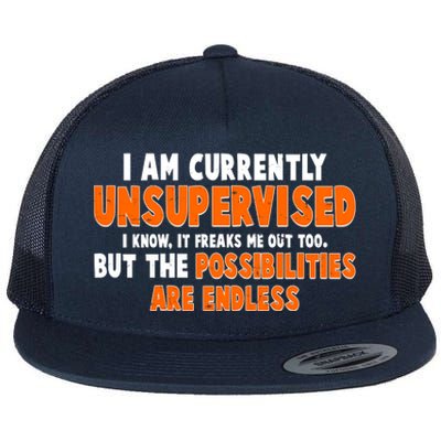 I Am Currently Unsupervised The Possibilities Are Endless Flat Bill Trucker Hat