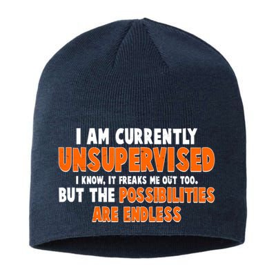 I Am Currently Unsupervised The Possibilities Are Endless Sustainable Beanie