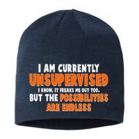 I Am Currently Unsupervised The Possibilities Are Endless Sustainable Beanie