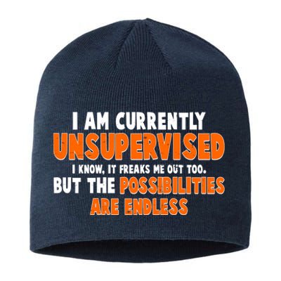 I Am Currently Unsupervised The Possibilities Are Endless Sustainable Beanie