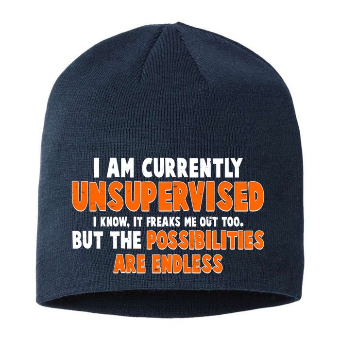 I Am Currently Unsupervised The Possibilities Are Endless Sustainable Beanie