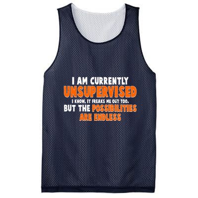 I Am Currently Unsupervised The Possibilities Are Endless Mesh Reversible Basketball Jersey Tank