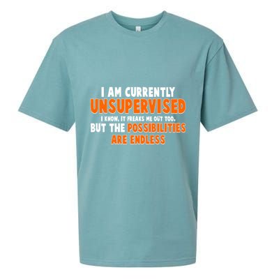 I Am Currently Unsupervised The Possibilities Are Endless Sueded Cloud Jersey T-Shirt