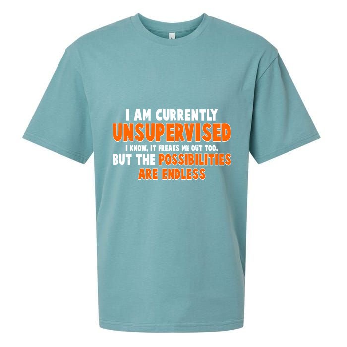 I Am Currently Unsupervised The Possibilities Are Endless Sueded Cloud Jersey T-Shirt
