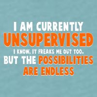 I Am Currently Unsupervised The Possibilities Are Endless Sueded Cloud Jersey T-Shirt