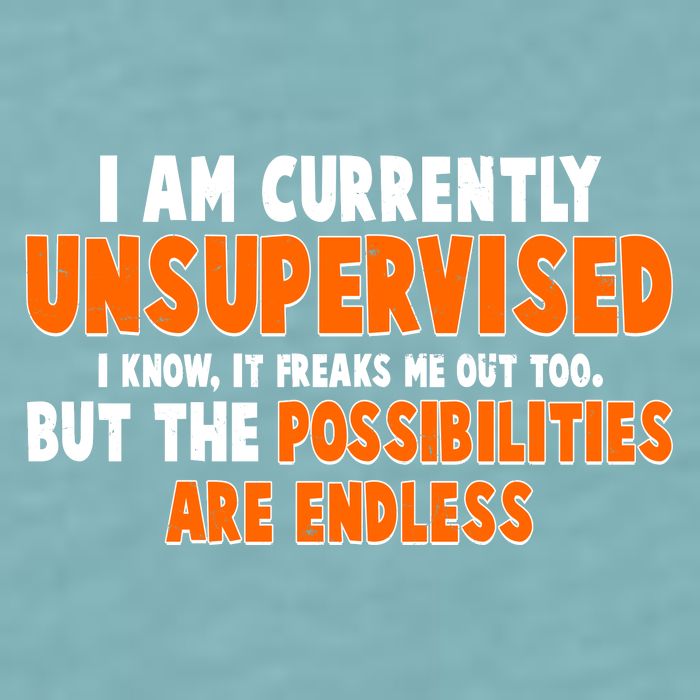 I Am Currently Unsupervised The Possibilities Are Endless Sueded Cloud Jersey T-Shirt