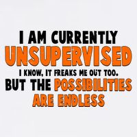 I Am Currently Unsupervised The Possibilities Are Endless Garment-Dyed Sweatshirt