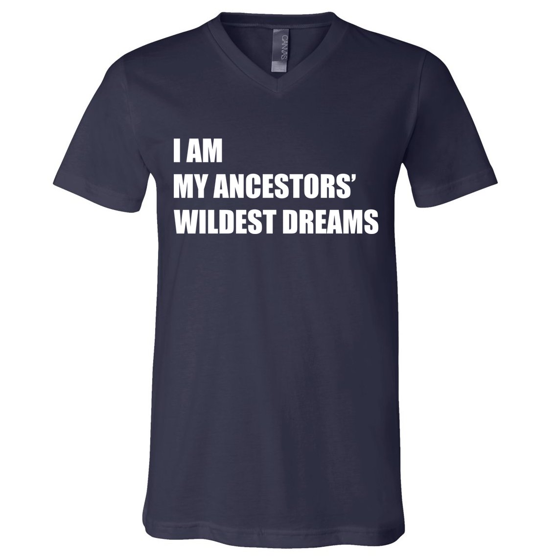 I Am My Ancestors' Wildest Dreams V-Neck T-Shirt
