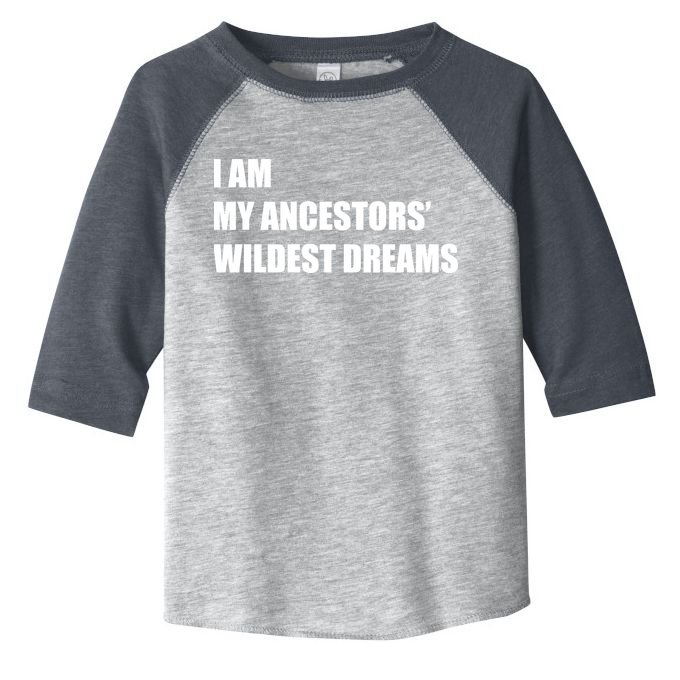 I Am My Ancestors' Wildest Dreams Toddler Fine Jersey T-Shirt
