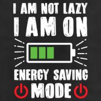 I Am Not Lazy I Am On Energy Saving Mode Funny Beanie