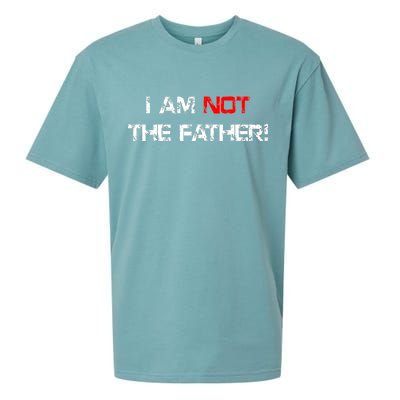 I Am Not The Father Sueded Cloud Jersey T-Shirt