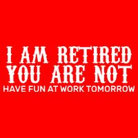 I Am Retired You Are Not Have Fun At Work Tomorrow Flat Bill Trucker Hat