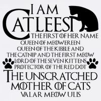 I Am The Catleesi Mother Of Cats Stainless Steel Travel Mug
