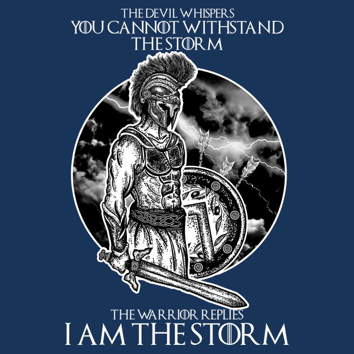 I Am The Storm Warrior Womens T-Shirt