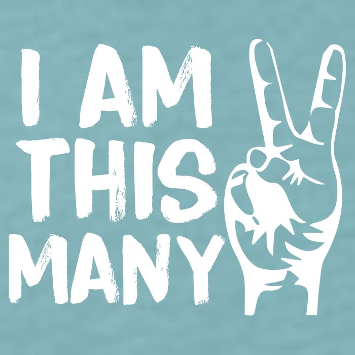 I AM This Many 2 Years Old Sueded Cloud Jersey T-Shirt