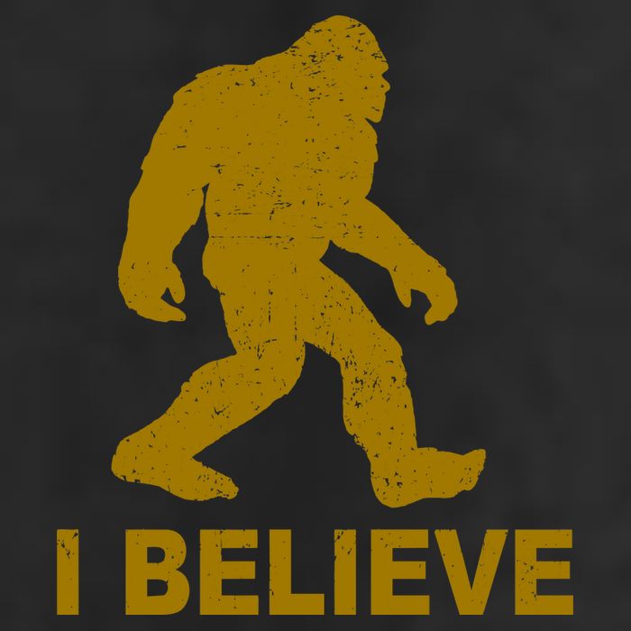 I Believe Sasquatch Bigfoot Garment-Dyed Heavyweight T-Shirt
