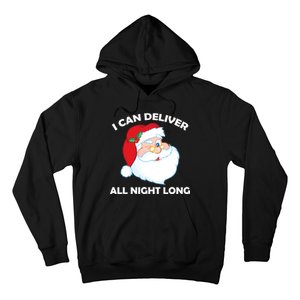 I Can Deliver All Night Long X-Mas Bad Santa Hoodie